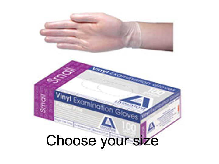 1829 Vinyl Gloves Powder Free 100Pk