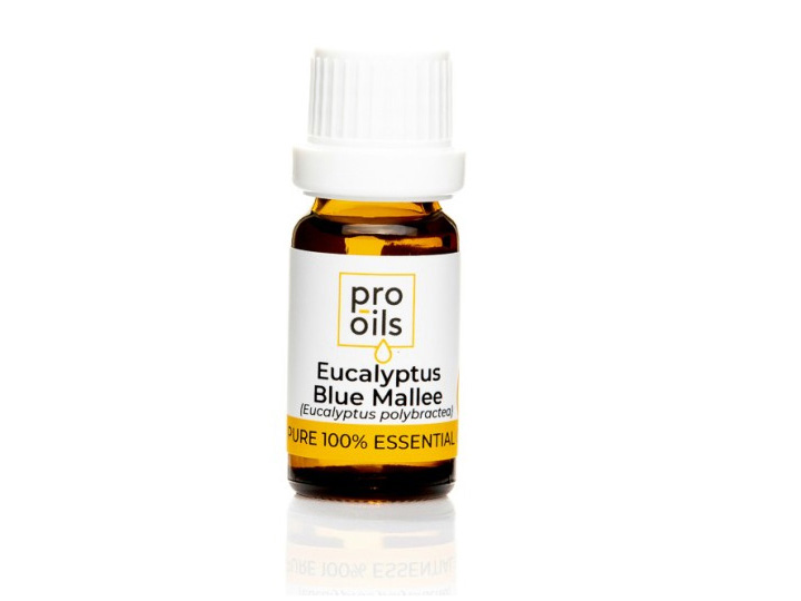 1904 Eucalyptus Blue Mallee Essential Oil 10ml