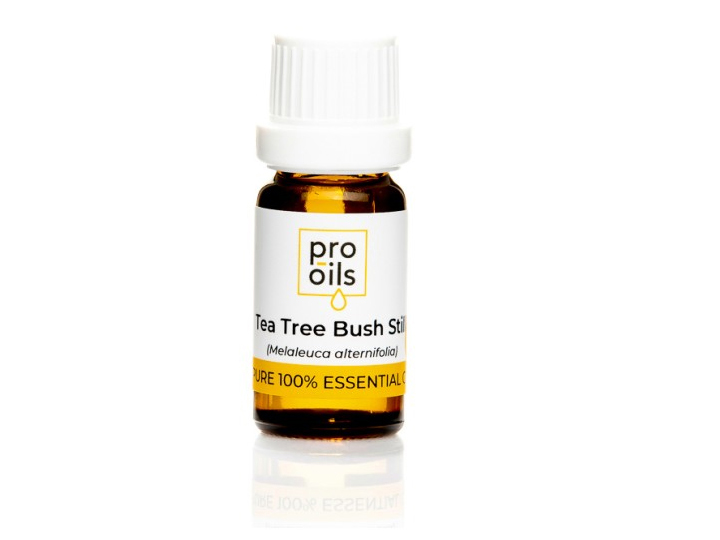 1923 Tea Tree Bush Still Essential Oil 10ml