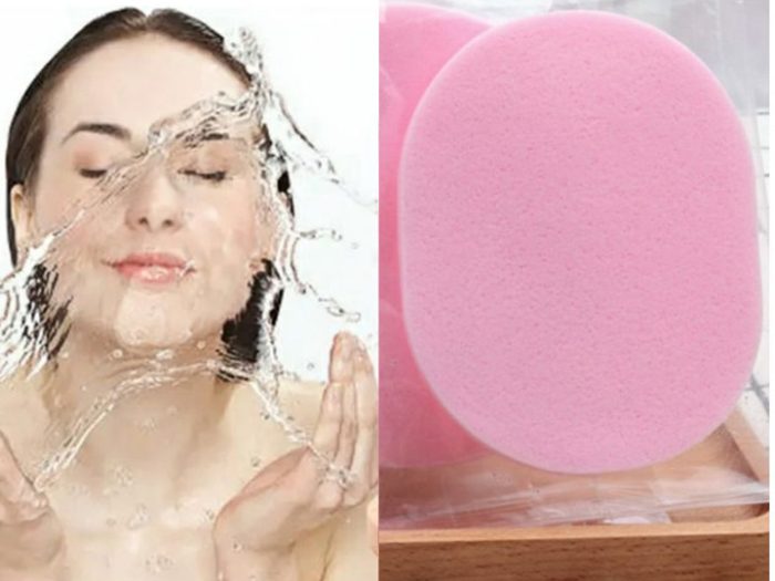 18531 Oval Facial Cleansing Sponge
